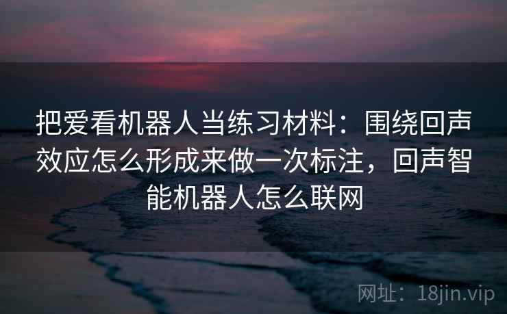 把爱看机器人当练习材料：围绕回声效应怎么形成来做一次标注，回声智能机器人怎么联网  第1张