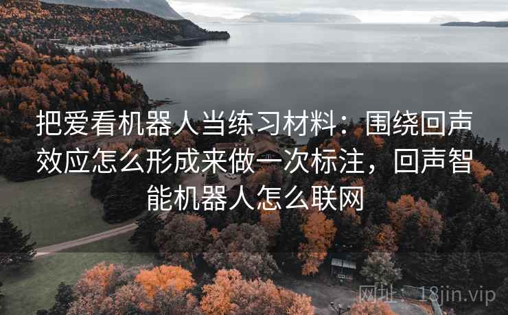 把爱看机器人当练习材料：围绕回声效应怎么形成来做一次标注，回声智能机器人怎么联网  第2张