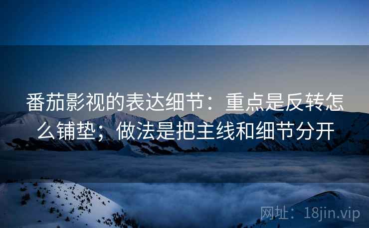 番茄影视的表达细节：重点是反转怎么铺垫；做法是把主线和细节分开  第2张